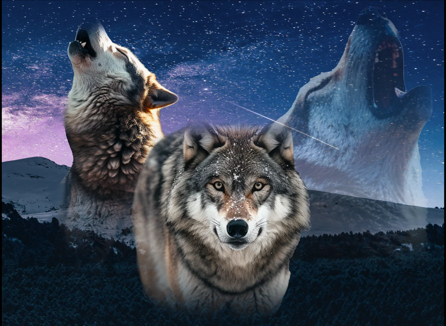 HUPPARI MUSTA - HOWLING WOLF TRIO (00 2711) - Image 2