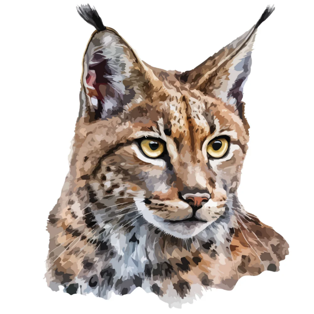 ILVES 2 (00 2791)