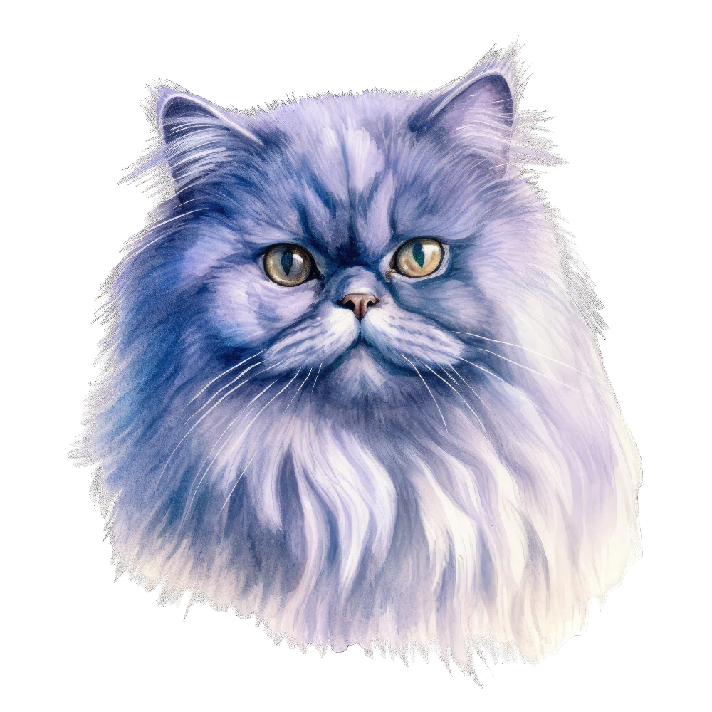 PAINATUS - Blue persian cat