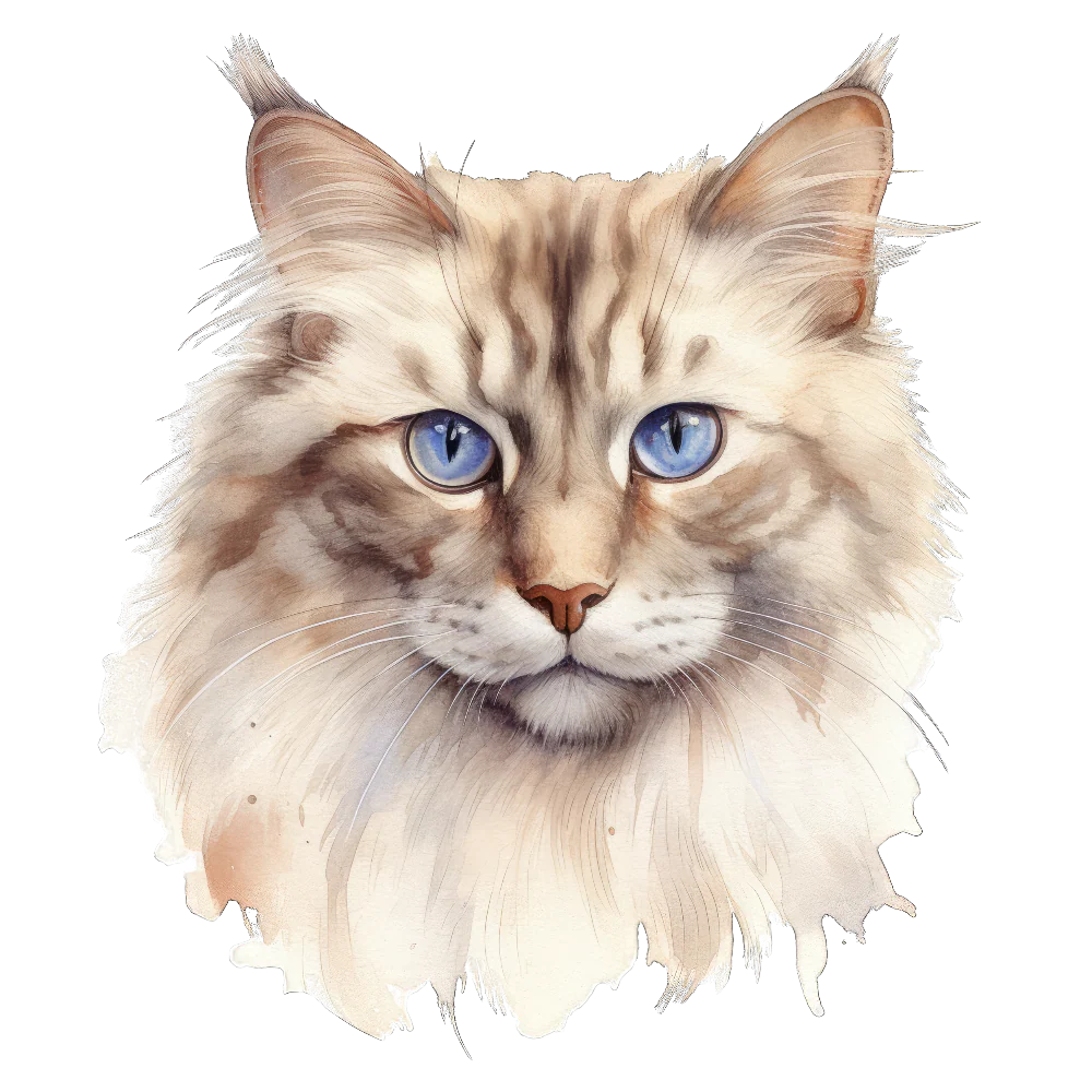 PAINATUS - Neva masquerade cat