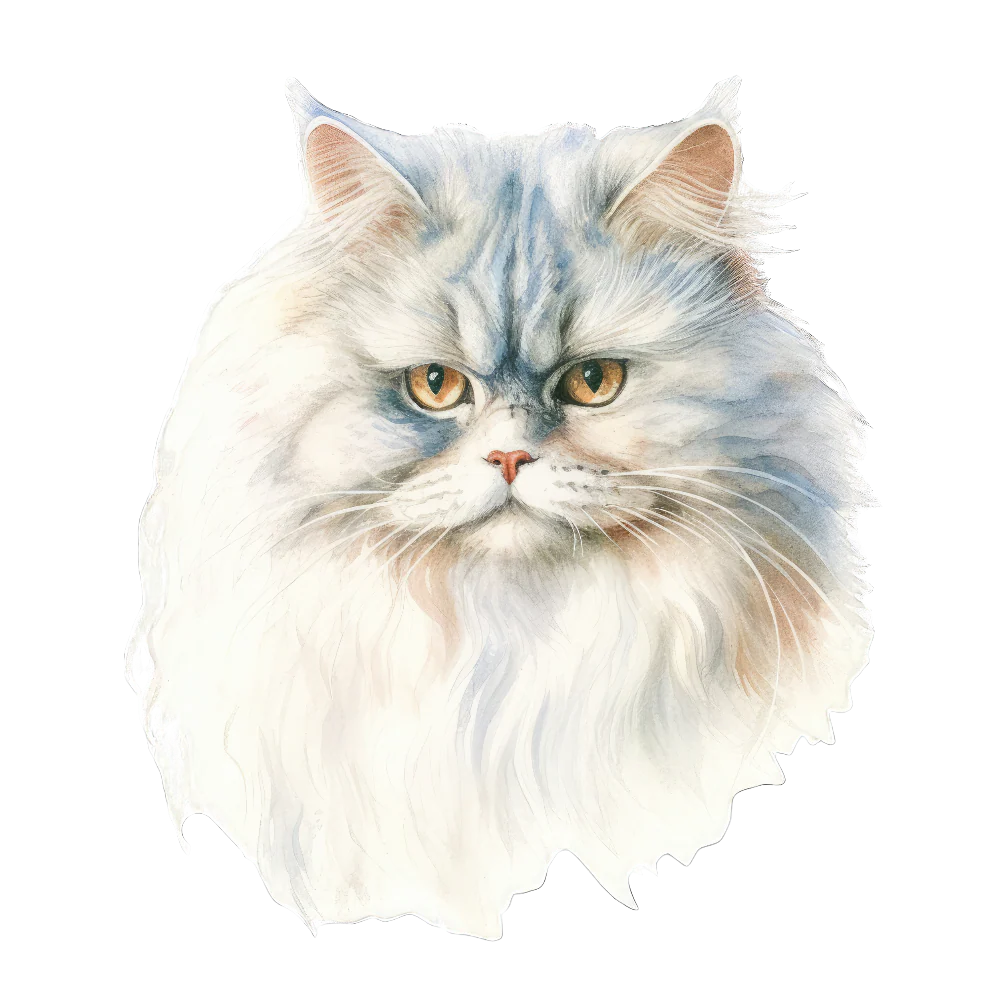 PAINATUS - Persian traditional cat