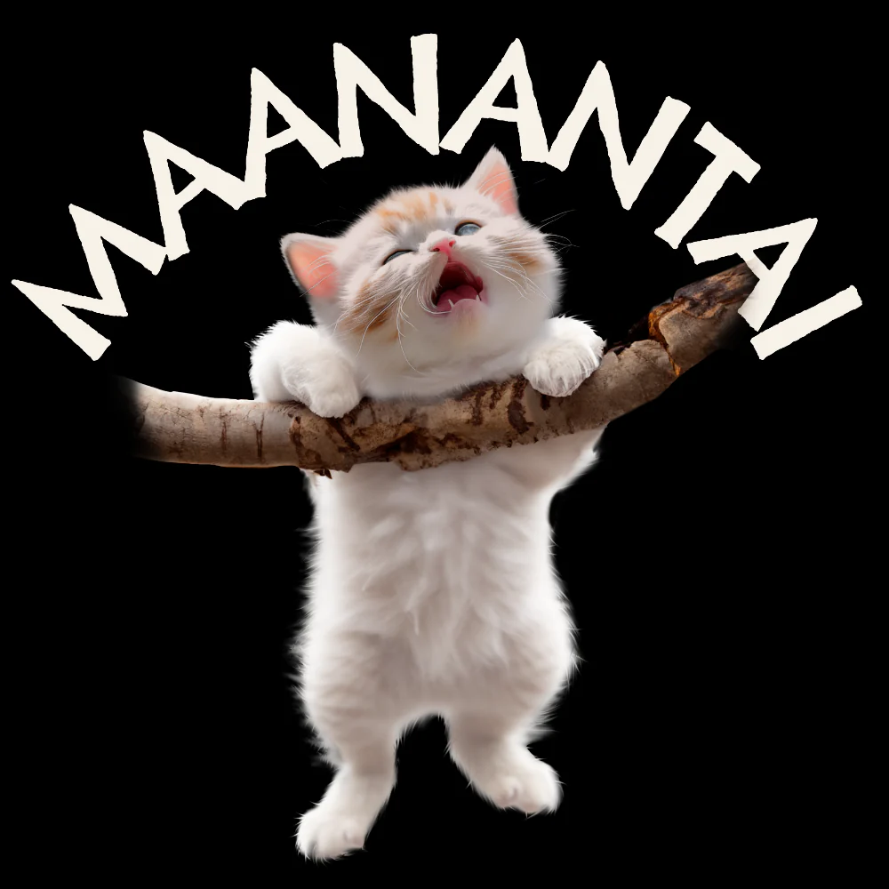 T-PAITA MUSTA - MAANANTAI (3243) - Image 2