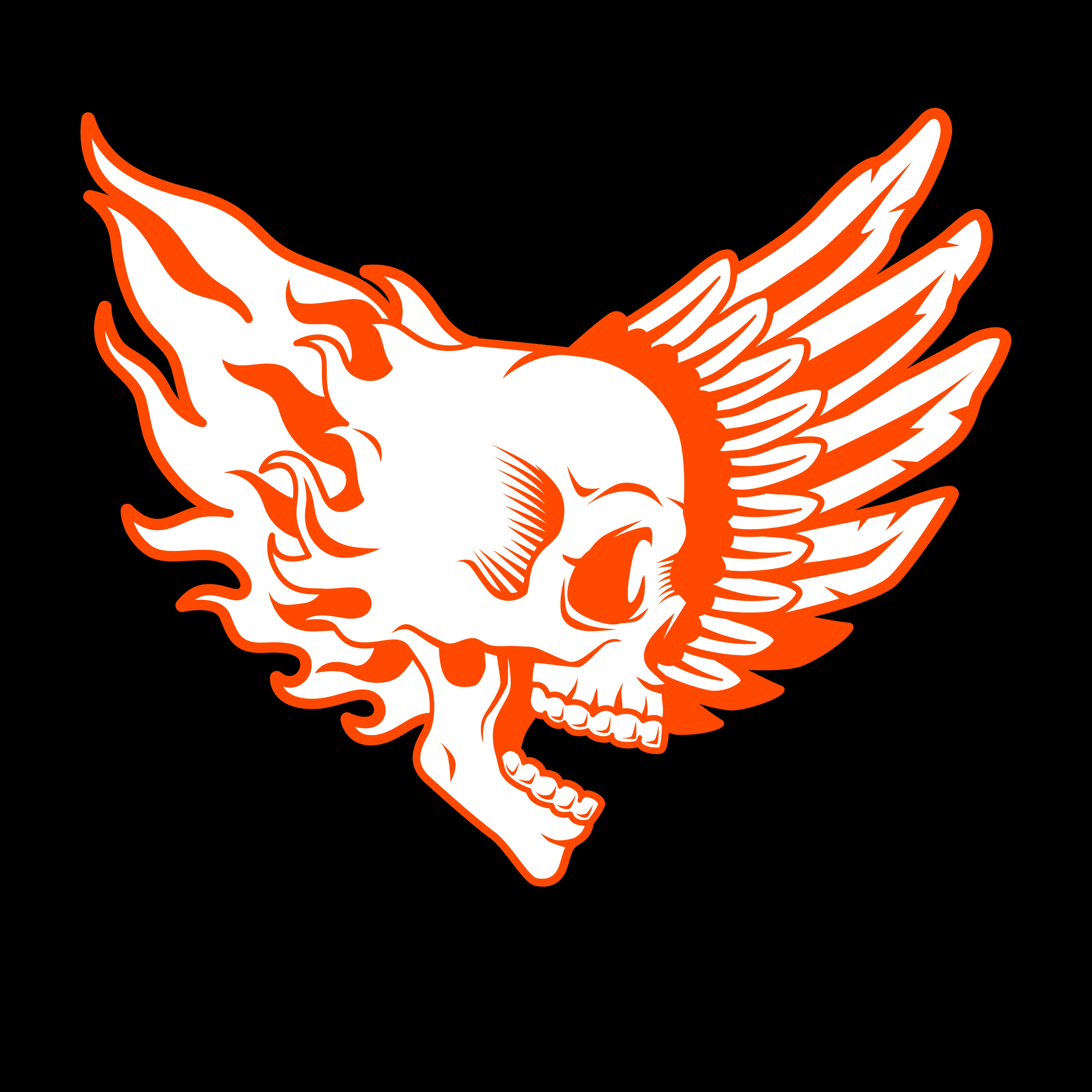 T-PAITA - SKULL FLAME (2878) - Image 2