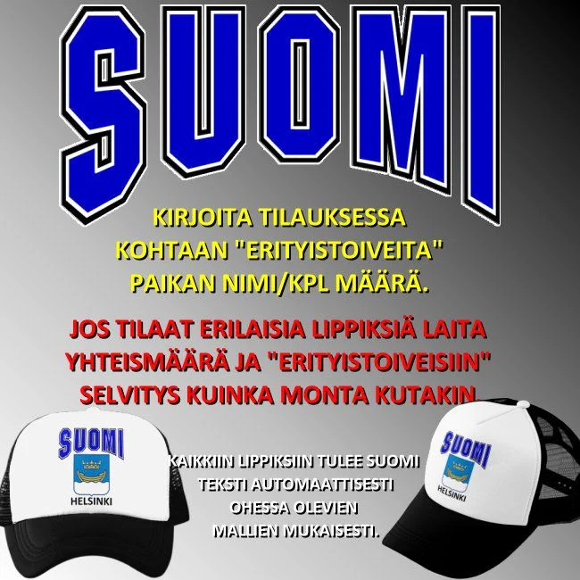 VERKKOPERÄLIPPIS - SUOMI KUNTAVAAKUNALLA - Image 2