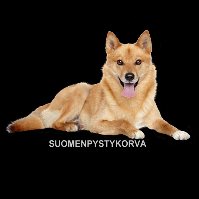 VETOKETJUHUPPARI MUSTA SUOMENPYSTY (00 3033) - Image 2